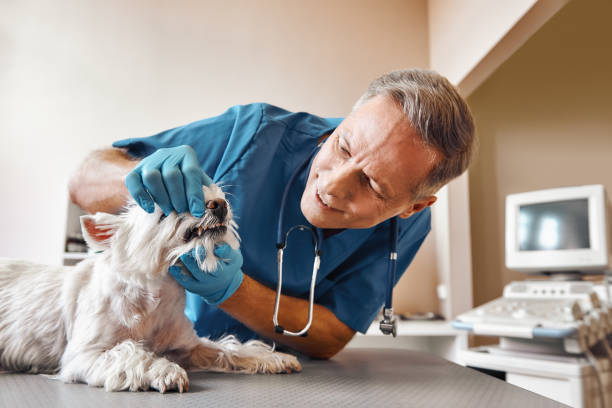 Best Emergency Tooth Extraction  in Falls Church, VA